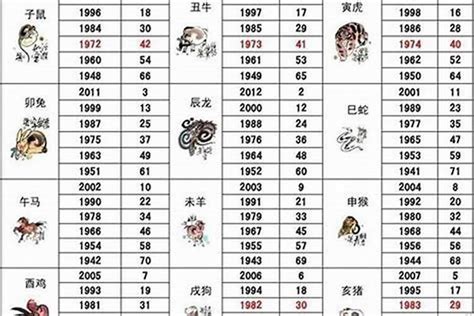 生肖屬狗|屬狗年份｜2024年幾歲？屬狗出生年份+歲數一